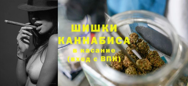 прущие крисы Абаза
