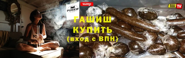 стафф Семилуки